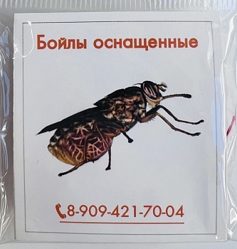 D-6 Бойлы оснащенные Fish-ka Африканская муха (10шт./уп)