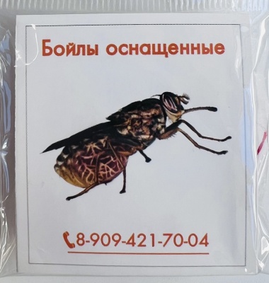D-8 Бойлы оснащенные Fish-ka Африканская муха (10шт./уп)
