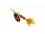 Блесна Mepps BLACK FURY ORANGE MCH OR  №4 (57400) 