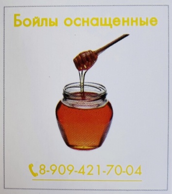 D-6 Бойлы оснащенные Fish-ka мёд (10 шт./уп)