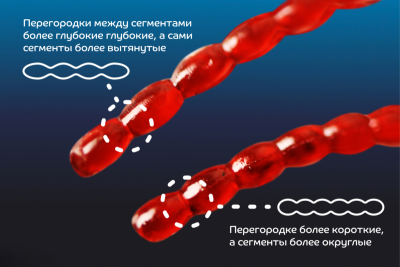 Nano worm (мотыль) 86-90-73-6